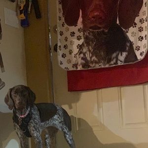 Meet your Posher, Mary